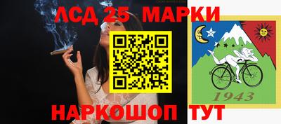 гашик Кандалакша