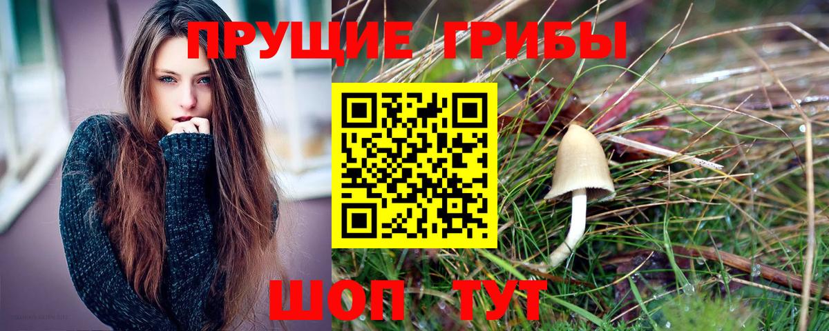 Красноуфимск  Галлюциногенные грибы MAGIC MUSHROOMS  Вход с VPN  Псилоцибиновые грибы прущие грибы 